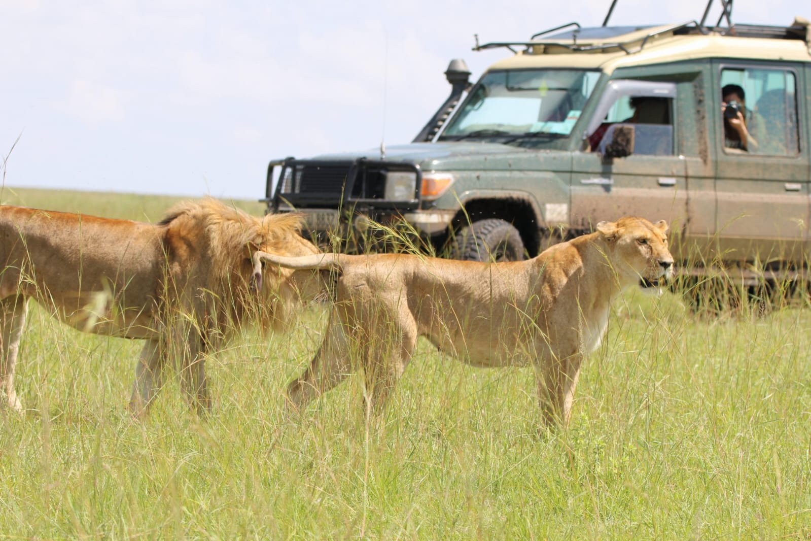 Maasai Mara