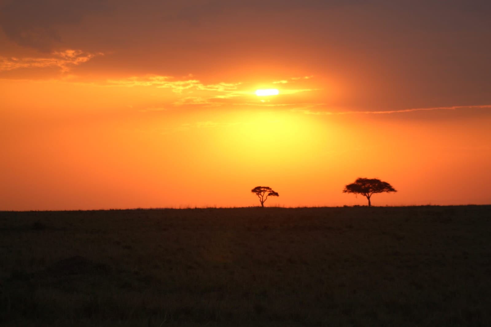 Tsavo