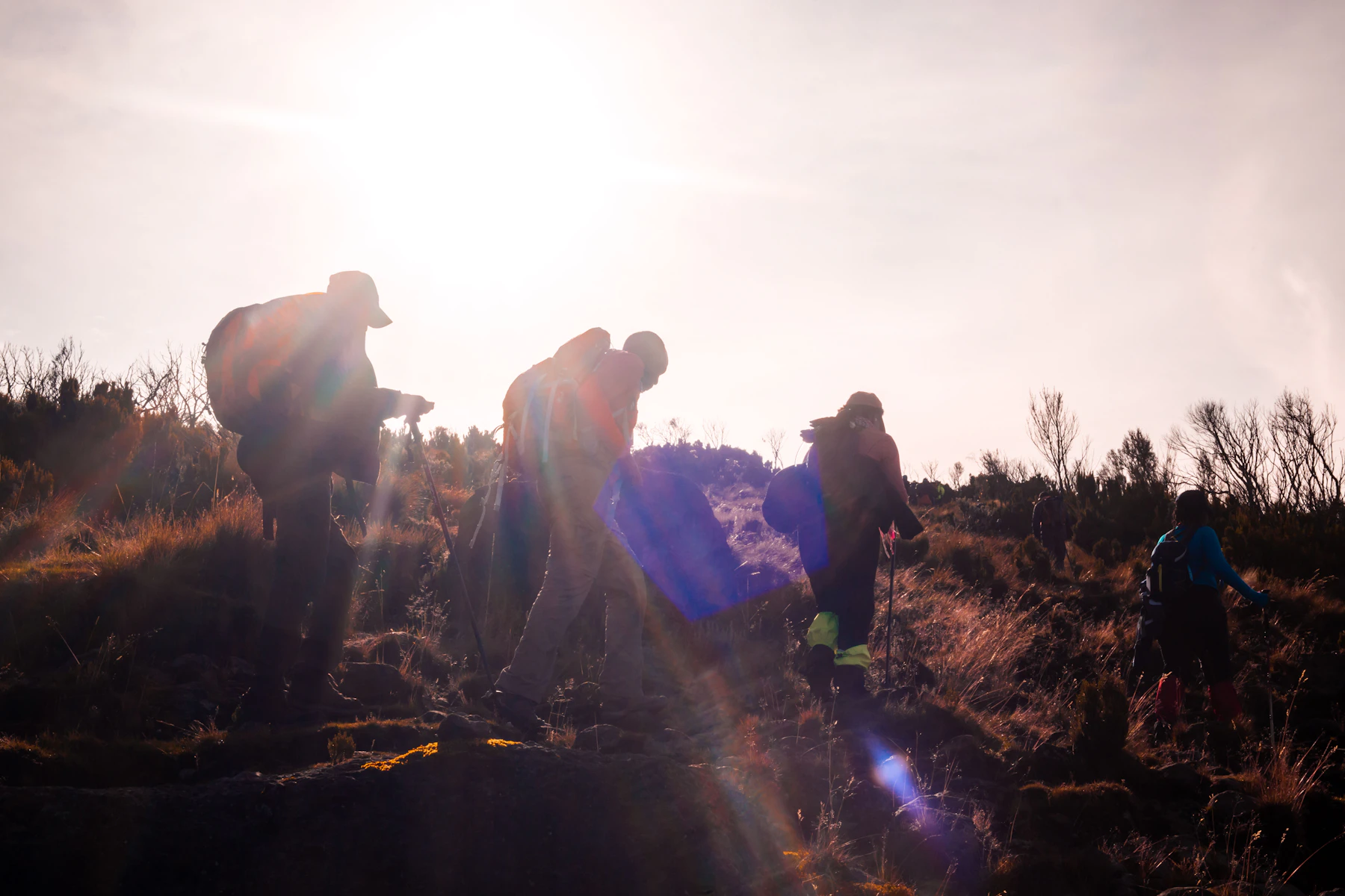 Hikers with backpacks climbing a mountain path into low sun
