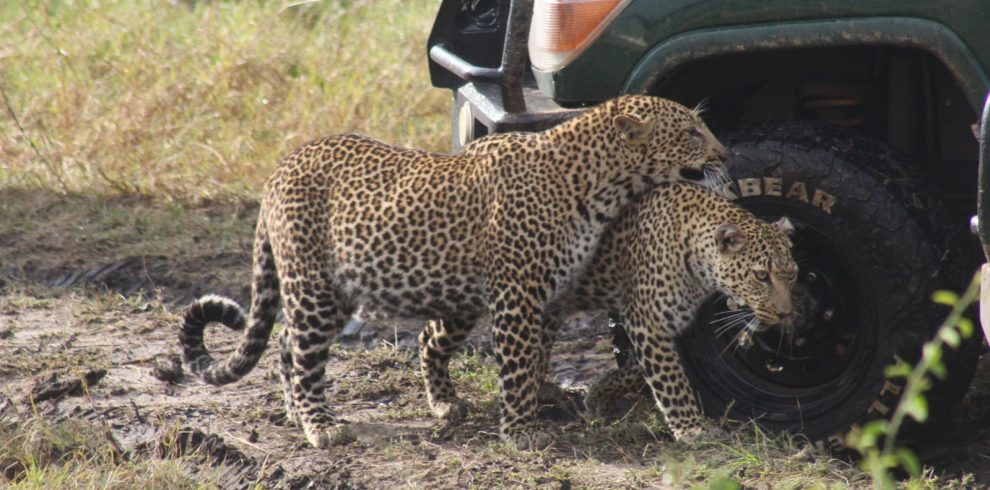 WhatsApp Image 2025-12-26 at 10.53.36 AM