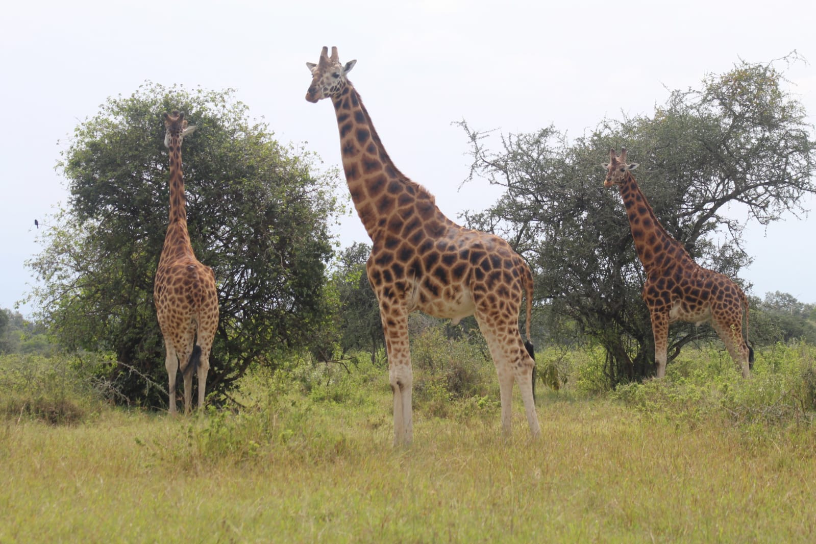 Tsavo East National Park
