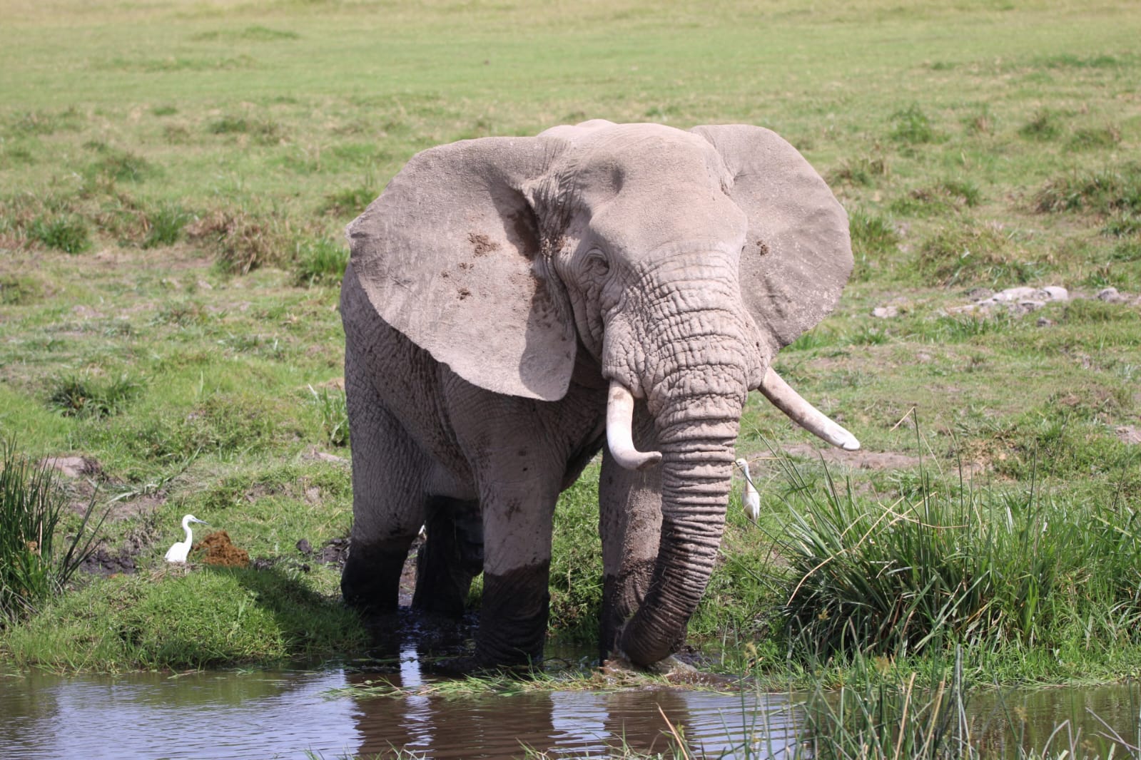 Samburu National Reserve