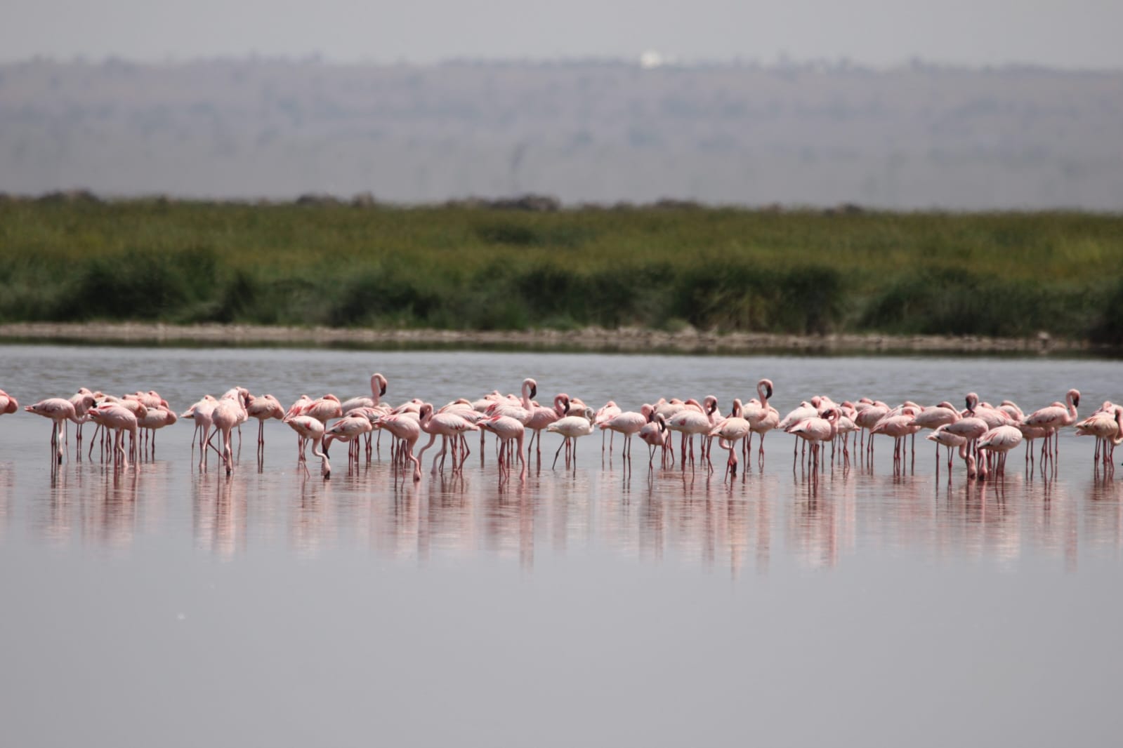 Lake Nakuru National Park